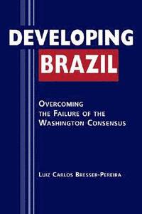 bokomslag Developing Brazil