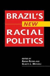 bokomslag Brazil's New Racial Politics