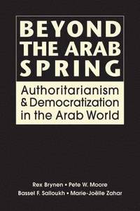 bokomslag Beyond the Arab Spring