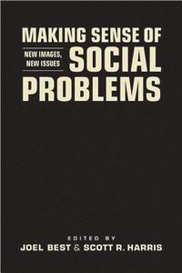 bokomslag Making Sense of Social Problems