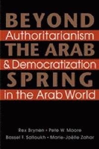 bokomslag Beyond the Arab Spring