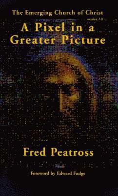 Fred Peatross - Pixel in a Greater Picture, Häftad