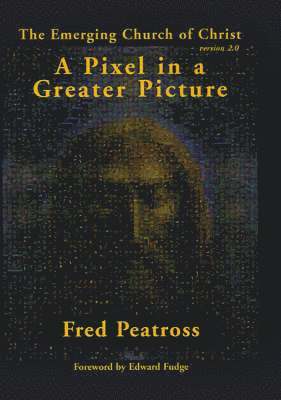 Fred Peatross - Pixel in a Greater Picture, Inbunden