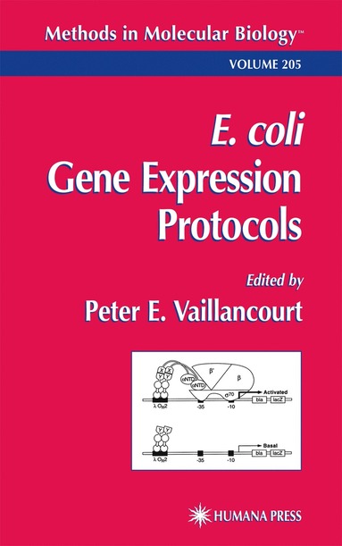 bokomslag E. coli Gene Expression Protocols