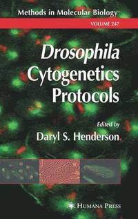 bokomslag Drosophila Cytogenetics Protocols