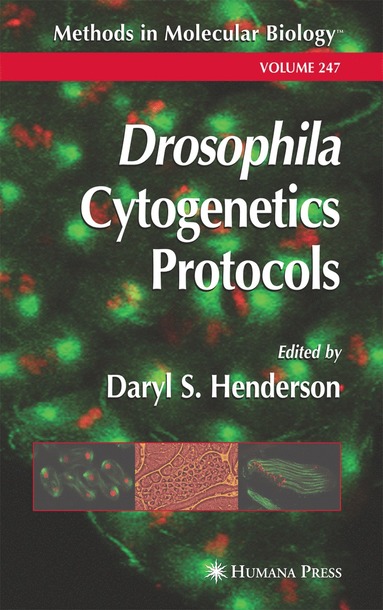 bokomslag Drosophila Cytogenetics Protocols