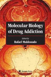bokomslag Molecular Biology of Drug Addiction
