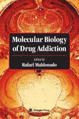 Ivan A. Ross, Rafael Maldonado, Rafael Maldonado - Molecular Biology of Drug Addiction, Inbunden