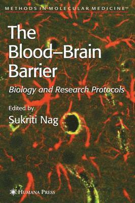 bokomslag Blood'Brain Barrier