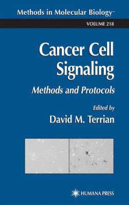 Cancer Cell Signaling 1