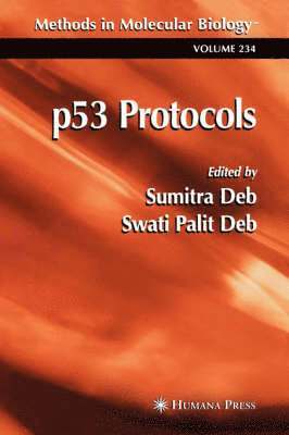 bokomslag p53 Protocols