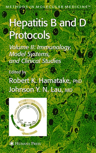 bokomslag Hepatitis B and D Protocols