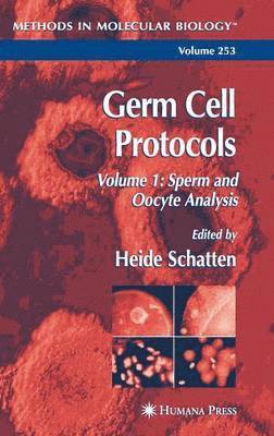 bokomslag Germ Cell Protocols