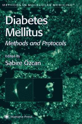 Sabire Özcan - Diabetes Mellitus, Inbunden