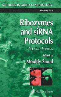 bokomslag Ribozymes and siRNA protocols