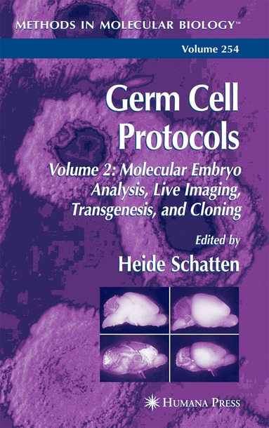 Heide Schatten - Germ Cell Protocols, Inbunden