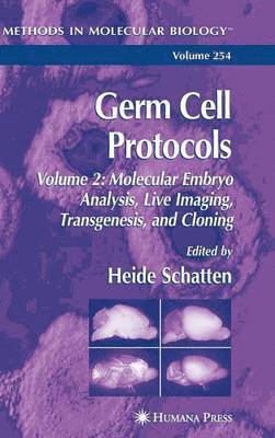 bokomslag Germ Cell Protocols