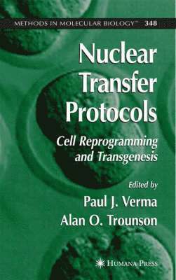 Paul J. Verma, Paul J Verma - Nuclear Transfer Protocols, Inbunden