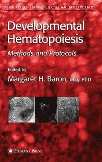 bokomslag Developmental Hematopoiesis