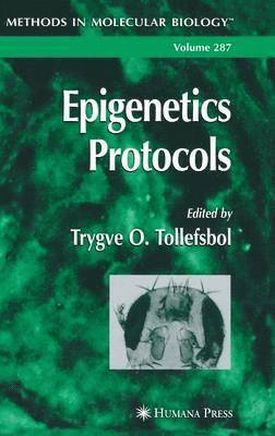 Epigenetics Protocols 1