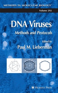 bokomslag DNA Viruses