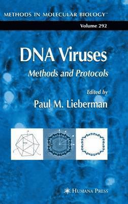 DNA Viruses 1