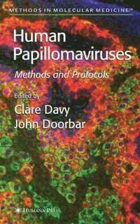 bokomslag Human Papillomaviruses