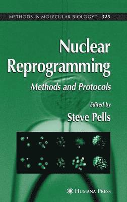 bokomslag Nuclear Reprogramming