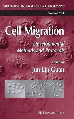 Jun-Lin Guan, Jun-Lin Guan - Cell Migration, Inbunden