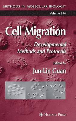 Cell Migration 1