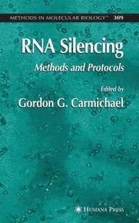 bokomslag RNA Silencing