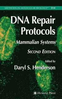 bokomslag DNA Repair Protocols