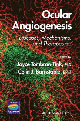 bokomslag Ocular Angiogenesis