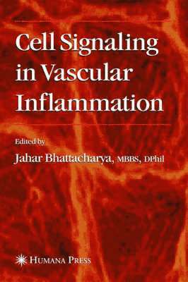 bokomslag Cell Signaling in Vascular Inflammation