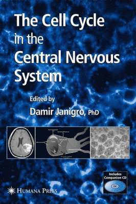 Cell Cycle in the Central Nervous System