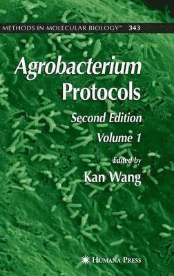 bokomslag Agrobacterium Protocols