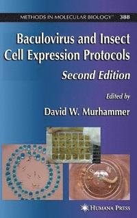bokomslag Baculovirus and Insect Cell Expression Protocols