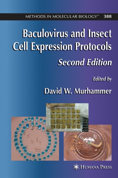 bokomslag Baculovirus and Insect Cell Expression Protocols