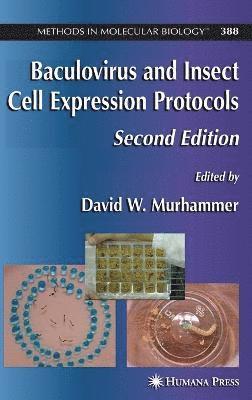 Baculovirus and Insect Cell Expression Protocols 1
