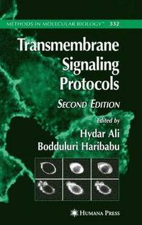 bokomslag Transmembrane Signaling Protocols