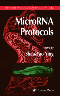 bokomslag MicroRNA Protocols