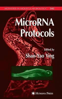 Shao-Yao Ying - MicroRNA Protocols, Inbunden