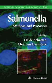 bokomslag Salmonella