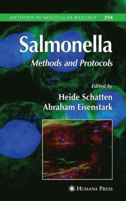 bokomslag Salmonella