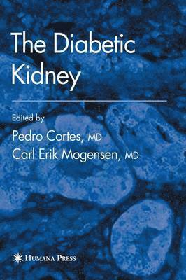 bokomslag Diabetic Kidney