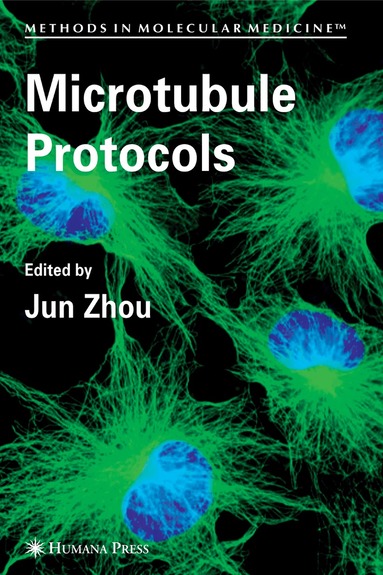 Jun Zhou - Microtubule Protocols, Inbunden