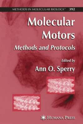 Molecular Motors 1