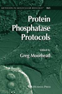 bokomslag Protein Phosphatase Protocols