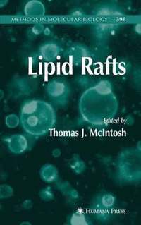 bokomslag Lipid Rafts