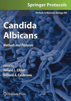 Candida Albicans 1